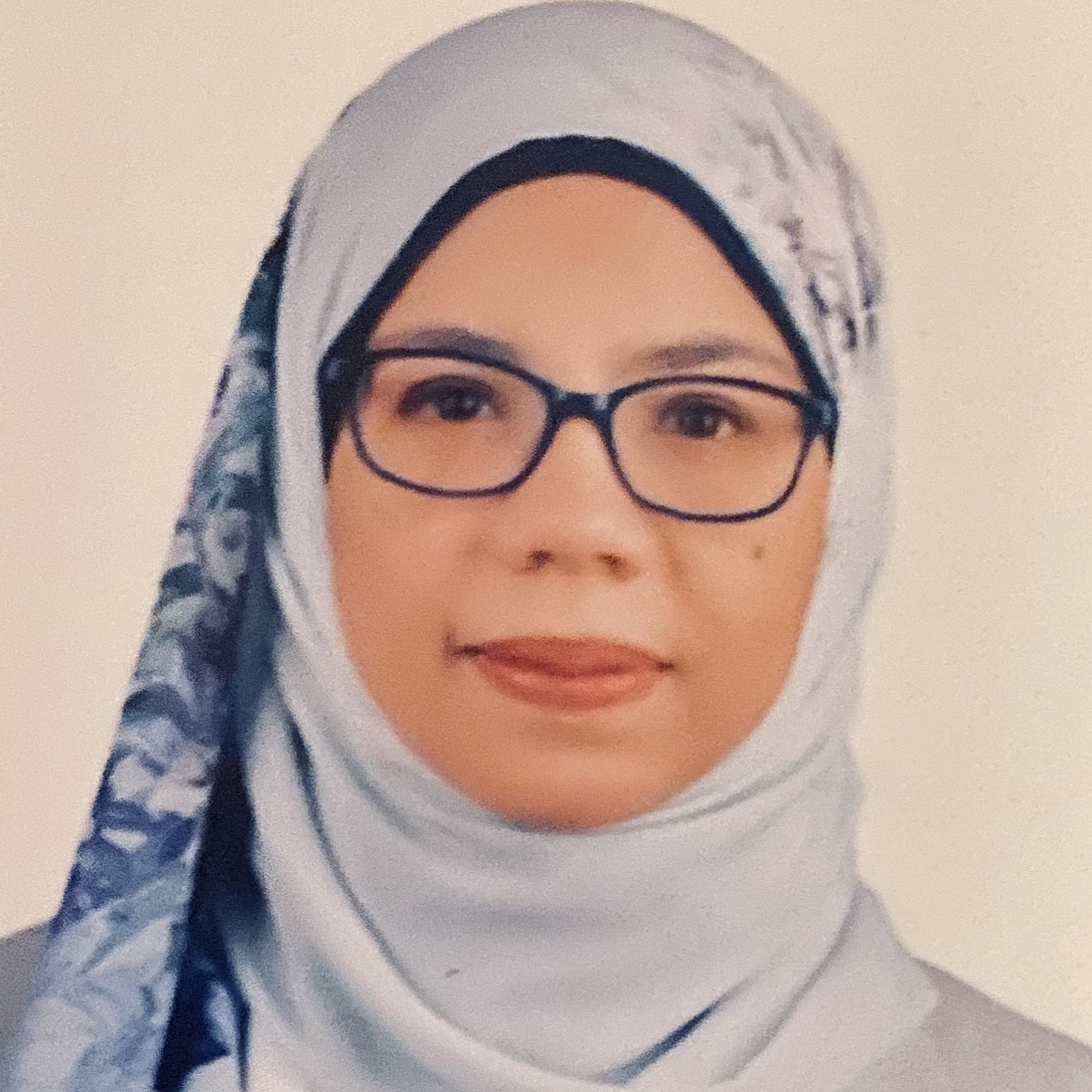 BIGSAS Junior Fellow Hasnaa Essam